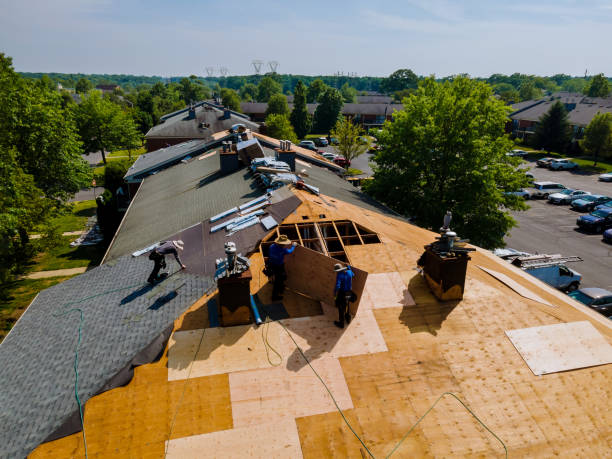 Best Residential Roofing Contractor  in Homer, LA