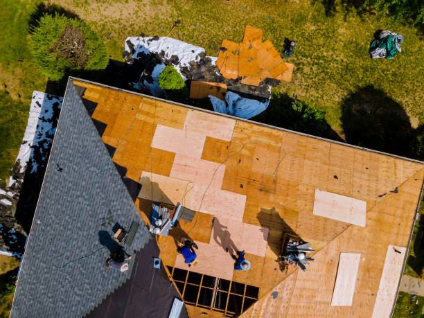 Best Storm Damage Roof Repair  in Homer, LA