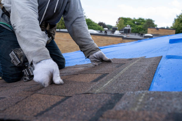 Best New Roof Installation  in Homer, LA