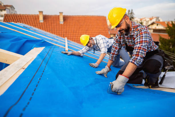 Best New Roof Installation  in Homer, LA