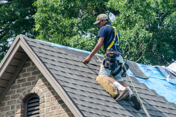 Best Roof Repair Services  in Homer, LA